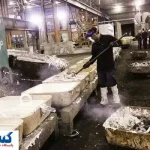بهرهوری، حلقه مفقوده اقتصاد ایران