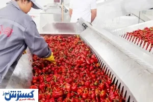 آنچه درباره خشک کن میوه ای جی باید بدانیم