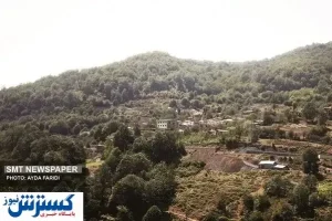 تـیـشه بر ریـشـه جـنگـل‌ها