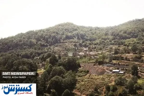 تـیـشه بر ریـشـه جـنگـلها