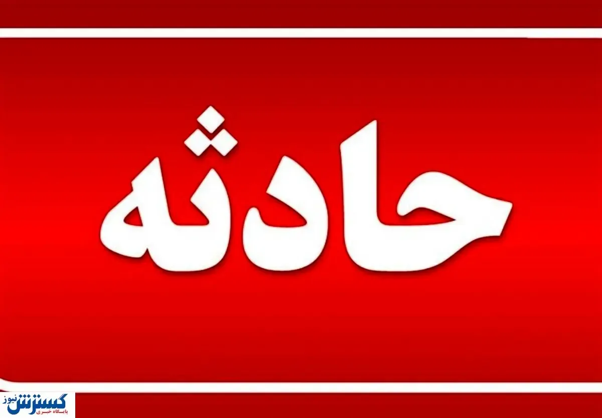 حمله سگ ولگرد به یک دانشآموز