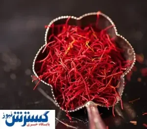 تصمیمی که قیمت زعفران را بالا برد