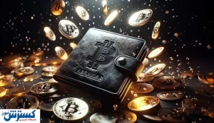 اتفاقی عجیب / جابجایی ۴۸۰۰ بیت کوین به یک سرویس میکسر!