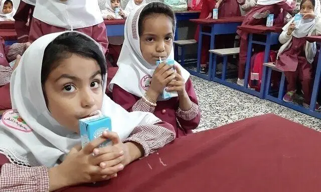 شیر-مدارس