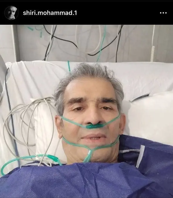 محمد شیری