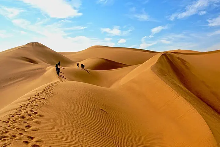 کویر-ابوزید-1