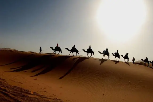 کویر-مصر