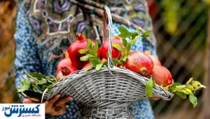 رونمایی از گواهینامه ثبت ملی جشن انار ساوه