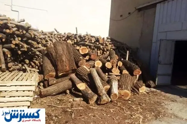 دستگیری قاچاقچی چوب در شاهرود