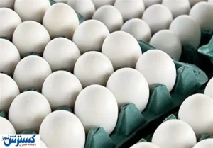 قیمت جدید تخم مرغ در بازار ۲۱ آبان / جدول