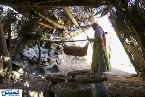 عضویت ۶۳۰ هزار عشایر در بیمه روستایی