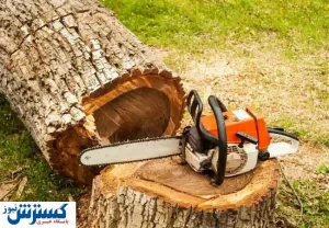واکنش اعضای شورا نسبت به قطع درختان در سعد آباد