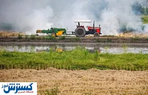 خودکفایی با توان دانش‌بنیان‌ها / پسماند میوه و سبزیجات، خوراکی برای دام