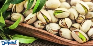 رتبه های درخشان ایران در تولید میوه / در بین ۵ کشور نخست جهان هستیم