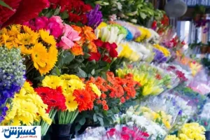 قیمت جدید هر شاخه گل از زبان رئیس اتحادیه / خرید دسته گل چقدر آب می خورد؟