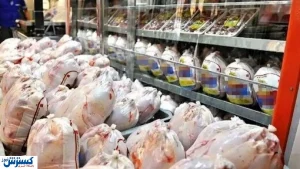 سیگنال جدید به بازار مرغ / گرانی در راه است؟