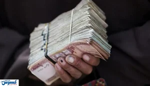 با تصویب مجلس حقوق و مزایای این افراد باورنکردنی شد