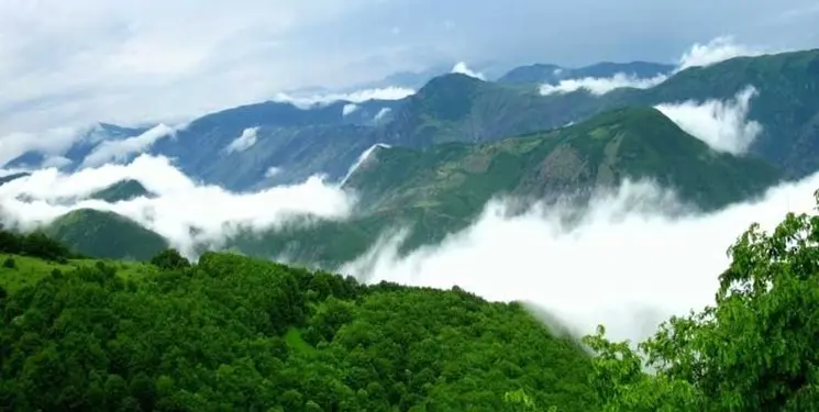 جنگل-های-طبیعی-2
