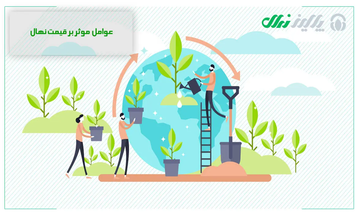 قیمت-نهال