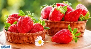 قیمت نجومی قارچ و توت فرنگی در بازار / سیب چند شد؟