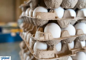 تخم مرغ امروز چقدر قیمت خورد؟ + جدول