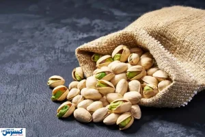 صادرات پسته به قاره سبز / ایران به رتبه دوم رسید