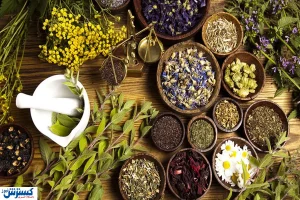 قیمت انواع عرقیات گیاهی / گلاب ویژه چند؟