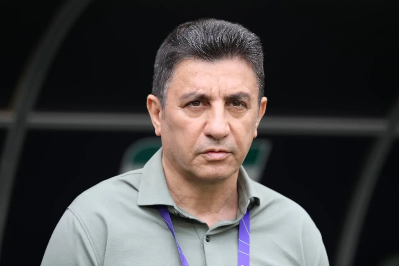 قلعه-نویی