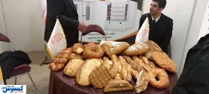 پرداخت یارانه جدید دولت /  بودجه ۱۶۰  همتی گندم ۳ برابر بودجه دارو است