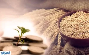 فطریه سال ۱۴۰۳ برای هر شخص اعلام شد/ مبلغ زکات اهل سنت چقدر است؟
