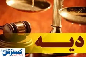 نرخ دیه در ماه های حرام اعلام شد/ افزایش ۳۳.۳درصدی نرخ بیمه شخص ثالث در سال ۱۴۰۳