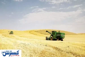 دلالان بازار را درو می‌کنند