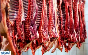 خبر خوب برای دامداران / یک اتفاق مهم در انتظار صنعت تولید گوشت