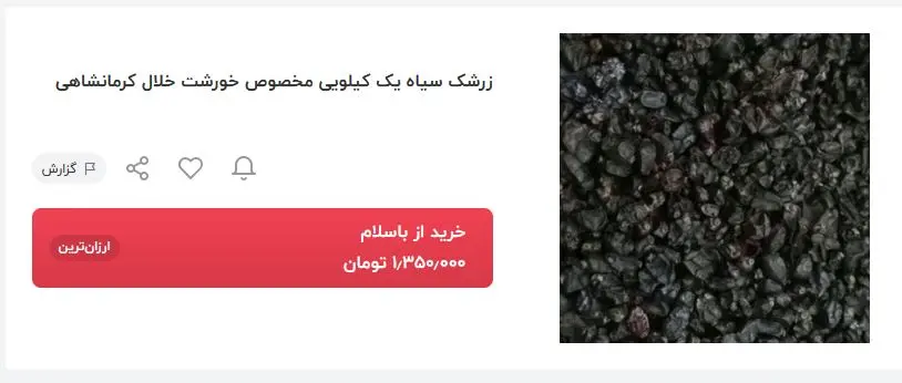 زرشک سیاه