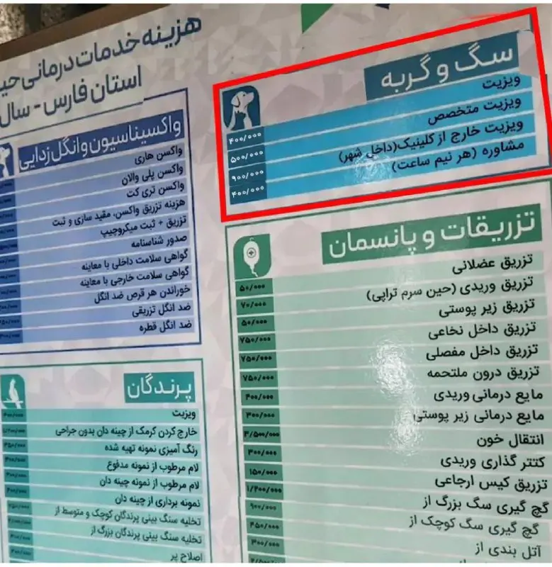 وزیزت حیوانگ