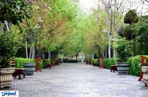 خطر اعدام درختان بوستان لاله / زاکانی حاشیه ای جدید درست کرد