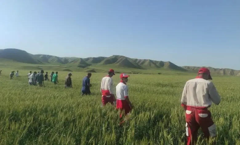 دختر-گمشده-یسنا-2