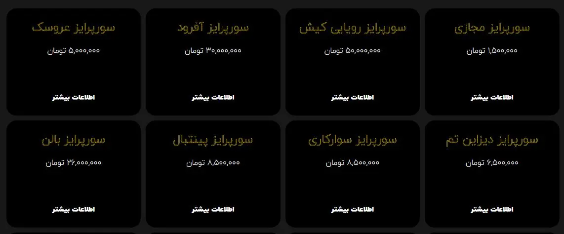 قیمت-گروه-سورپرایز