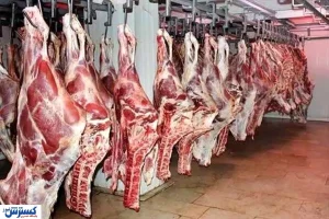 قیمت گوشت گوسفندی در بازار | چند تن گوشت تولید شد؟