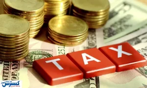 ۳ الویت اصلی در نظام مالیاتی | دولت به سراغ دانه درشت ها برود!