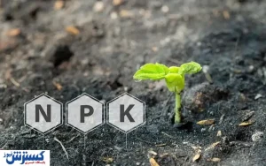 5 مزیت استفاده کود کامل در کشاورزی