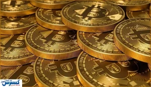 آمریکا ۵ درصد کل عرضه بیت کوین را خریداری می کند | کدام کشور بیشترین ارز دیجیتال را در اختیار دارد ؟