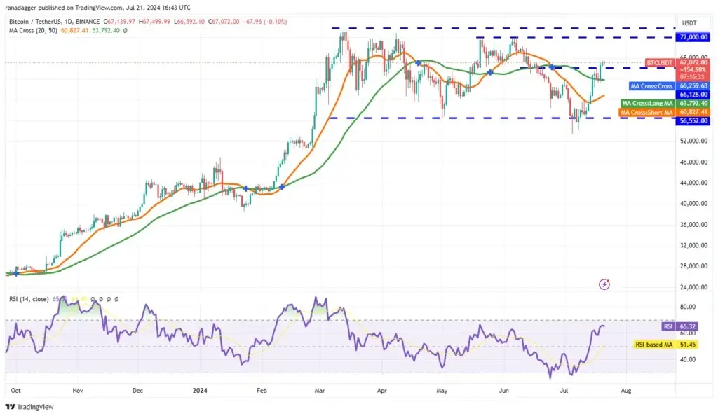 بیت-کوین-نمودار