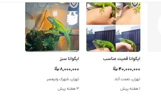 قیمت-ایگوانا