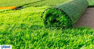 شوک ۱۷ میلیاردی برای استقلال و پرسپولیس | ماجرا چیست؟