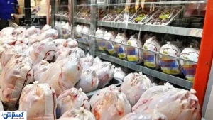 قیمت جدید مرغ کامل در بازار | وضعیت نهاده های دام اعلام شد