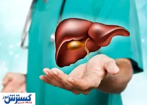 ۴ قاتل کبد چرب را بشناسید + اینفوگرافی