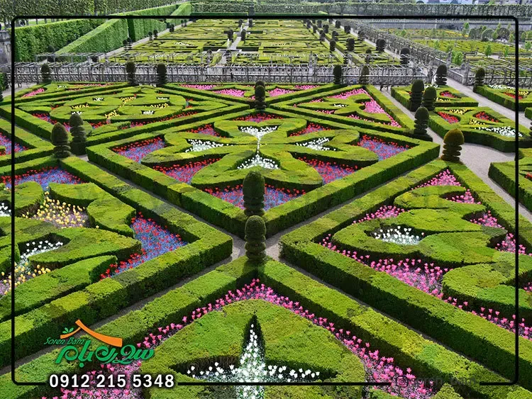 گیاهان مناسب محوطه سازی در تهران