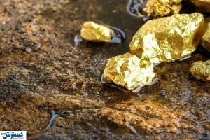 سوپرایز جذاب برای معدن طلای شرق ایران | ذخایر طلا ۳۰ میلیون تن شد