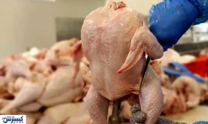 فوری | منتظر مرغ ۱۴۰ هزار تومانی باشید!